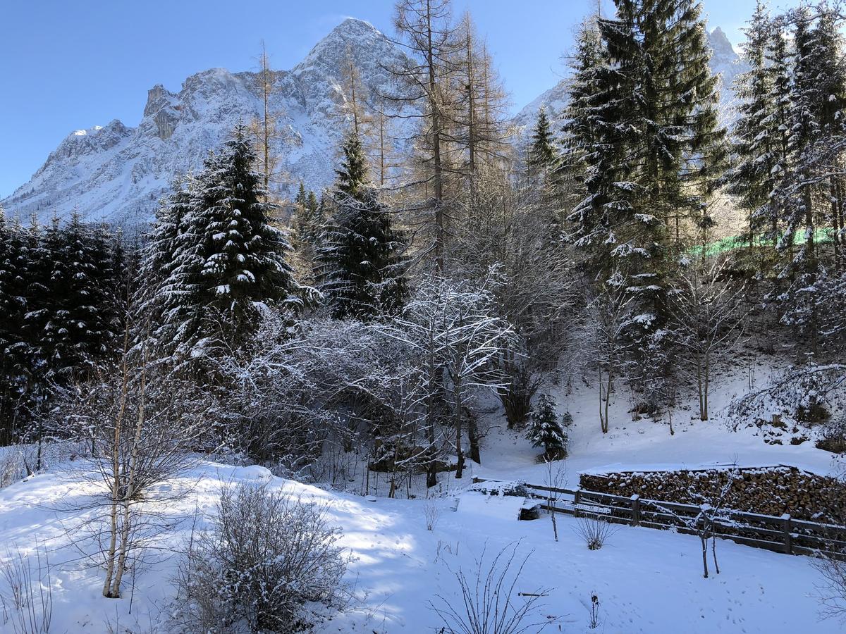 Apartamento Haus Sonnenspitze - Fam. Nessler Biberwier Exterior foto